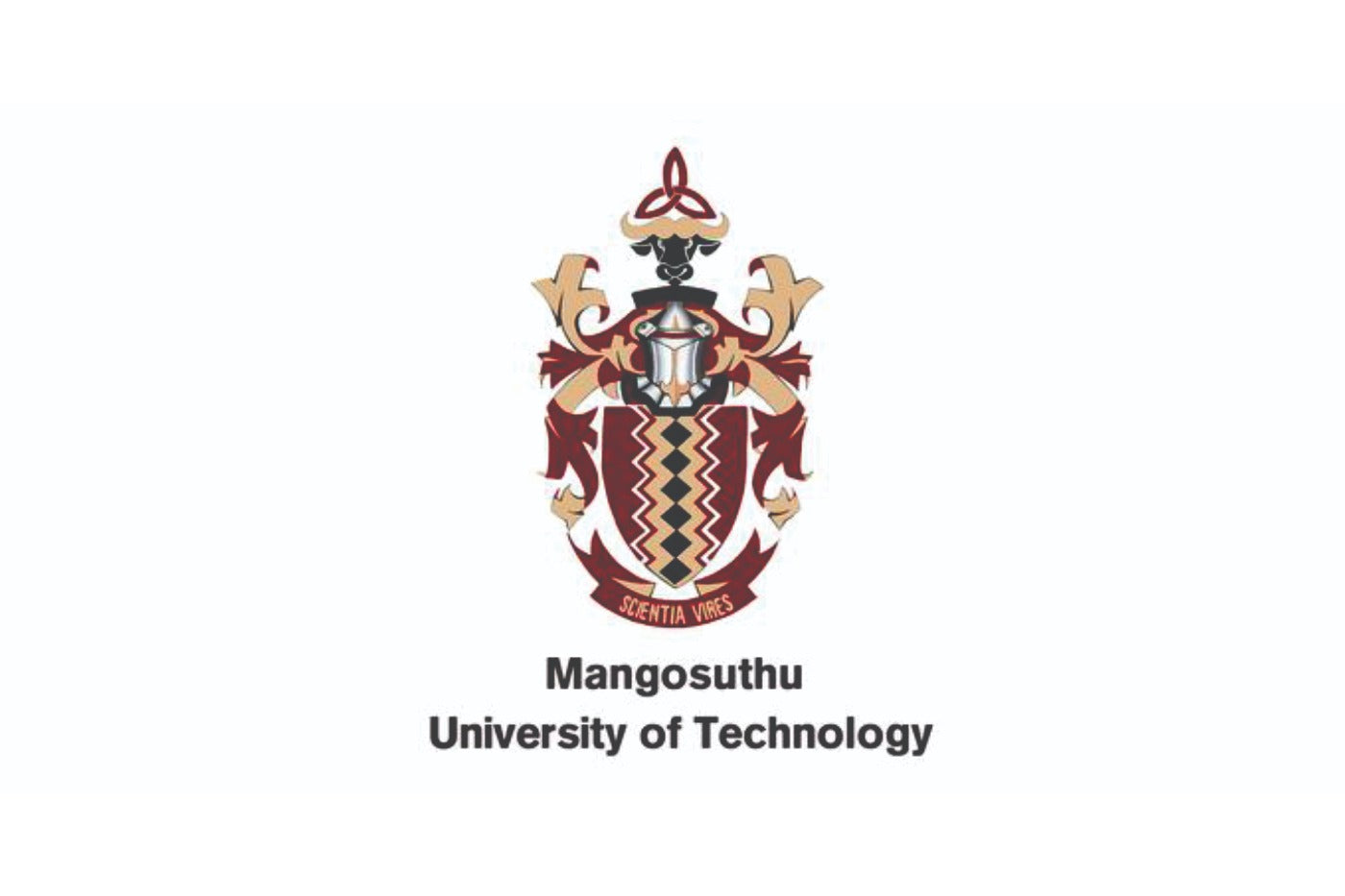 Letter of appreciation to The Voice Clinic