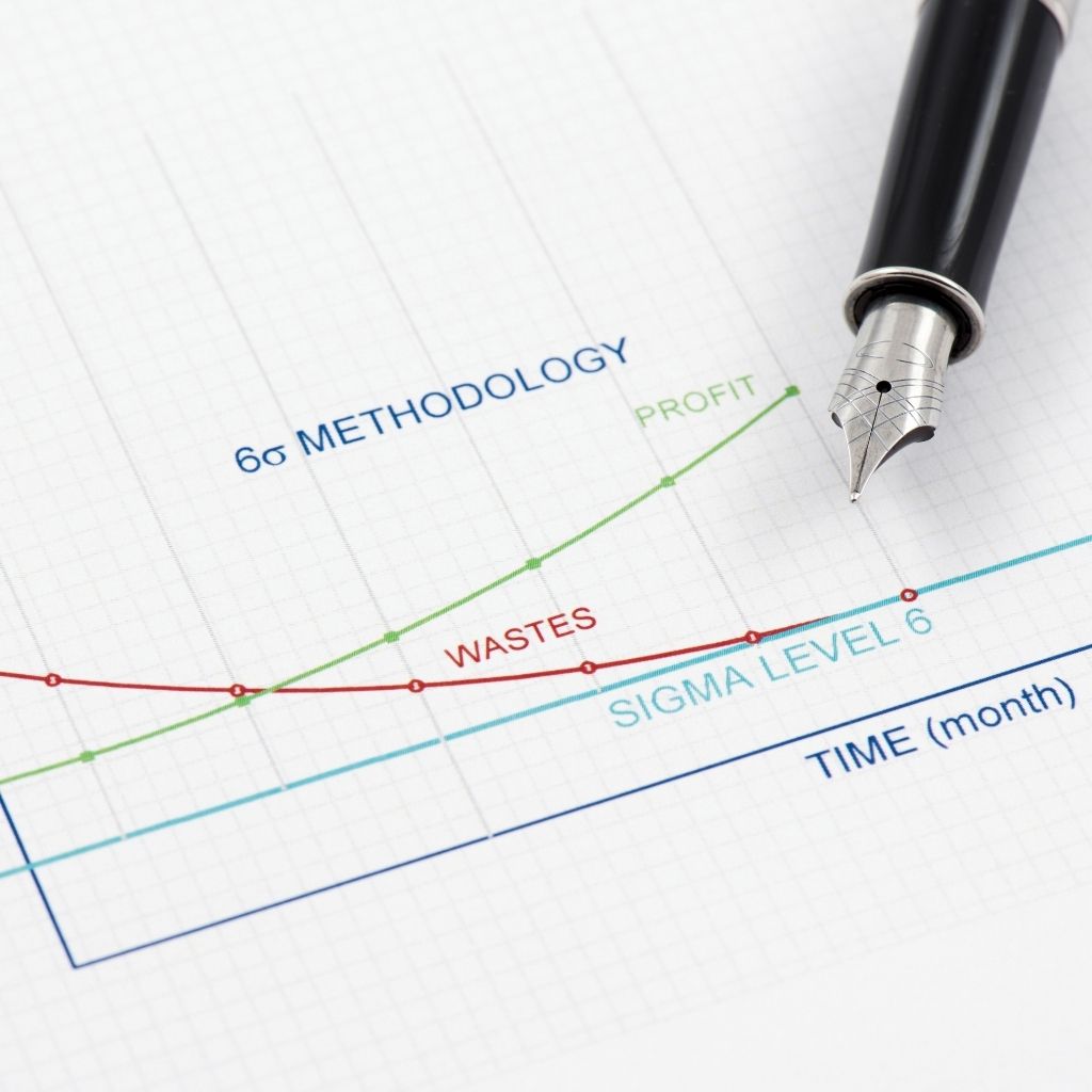 Introduction To The Lean Process And Six Sigma Methodology eLearning Course - The Voice Clinic™