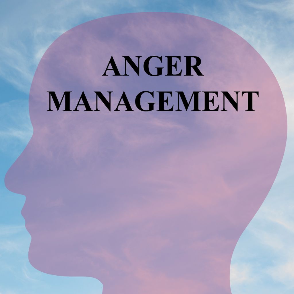 Anger Management Express Workshop - The Voice Clinic™